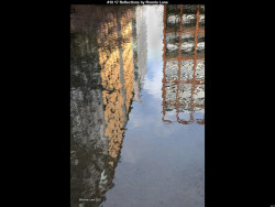 IMG033 (1) (1) (1) (1) (1) (1) (1) (1) (1) (1) (1) (1) (1) (1) (1) (1) (1) (1) (1) (1) (1) (1) (1) (1) (1) (1)