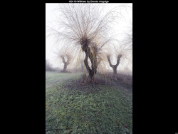 IMG033 (1) (1) (1) (1) (1) (1) (1) (1) (1) (1) (1) (1) (1) (1) (1) (1) (1) (1) (1) (1) (1) (1) (1) (1) (1) (1) (1) (1) (1) (1) (1) (1)