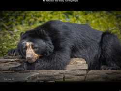 IMG033 (1) (1) (1) (1) (1) (1) (1) (1) (1) (1) (1) (1) (1) (1) (1) (1) (1) (1) (1) (1) (1) (1) (1) (1) (1) (1) (1) (1) (1) (1) (1) (1) (1)