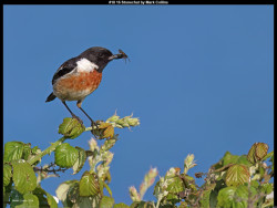 IMG033 (1) (1) (1) (1) (1) (1) (1) (1) (1) (1) (1) (1) (1) (1) (1) (1) (1) (1) (1) (1) (1) (1) (1) (1) (1) (1) (1) (1) (1) (1) (1) (1) (1) (1) (1) (1) (1)