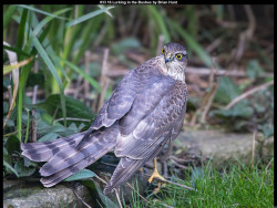 IMG033 (1) (1) (1) (1) (1) (1) (1) (1) (1) (1) (1) (1) (1) (1) (1) (1) (1) (1) (1) (1) (1) (1) (1) (1) (1) (1) (1) (1) (1) (1) (1) (1) (1) (1) (1) (1) (1) (1) (1)