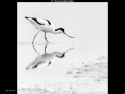 IMG034 (1) (1) (1) (1) (1) (1) (1) (1) (1) (1) (1) (1)