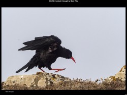 IMG034 (1) (1) (1) (1) (1) (1) (1) (1) (1) (1) (1) (1) (1)