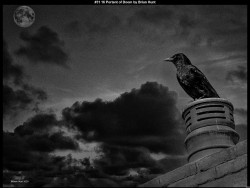 IMG034 (1) (1) (1) (1) (1) (1) (1) (1) (1) (1) (1) (1) (1) (1)