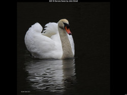 IMG034 (1) (1) (1) (1) (1) (1) (1) (1) (1) (1) (1) (1) (1) (1) (1) (1) (1) (1) (1)