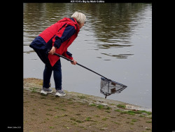 IMG034 (1) (1) (1) (1) (1) (1) (1) (1) (1) (1) (1) (1) (1) (1) (1) (1) (1) (1) (1) (1) (1) (1)