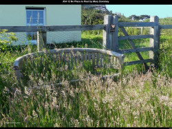 IMG034 (1) (1) (1) (1) (1) (1) (1) (1) (1) (1) (1) (1) (1) (1) (1) (1) (1) (1) (1) (1) (1) (1) (1)