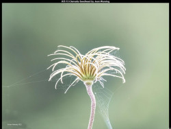 IMG034 (1) (1) (1) (1) (1) (1) (1) (1) (1) (1) (1) (1) (1) (1) (1) (1) (1) (1) (1) (1) (1) (1) (1) (1) (1)