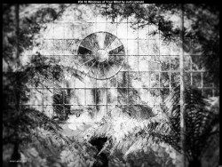 IMG034 (1) (1) (1) (1) (1) (1) (1) (1) (1) (1) (1) (1) (1) (1) (1) (1) (1) (1) (1) (1) (1) (1) (1) (1) (1) (1) (1) (1)