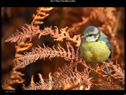 IMG034 (1) (1) (1) (1) (1) (1) (1) (1) (1) (1) (1) (1) (1) (1) (1) (1) (1) (1) (1) (1) (1) (1) (1) (1) (1) (1) (1) (1) (1) (1)