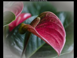 IMG035 (1) (1) (1) (1) (1) (1) (1) (1) (1)