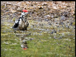 IMG035 (1) (1) (1) (1) (1) (1) (1) (1) (1) (1)