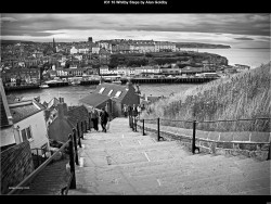 IMG035 (1) (1) (1) (1) (1) (1) (1) (1) (1) (1) (1) (1) (1)