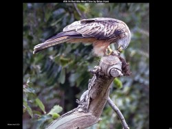 IMG035 (1) (1) (1) (1) (1) (1) (1) (1) (1) (1) (1) (1) (1) (1)