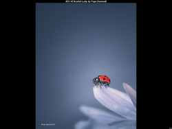 IMG035 (1) (1) (1) (1) (1) (1) (1) (1) (1) (1) (1) (1) (1) (1) (1) (1) (1) (1) (1)