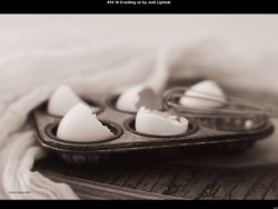 IMG035 (1) (1) (1) (1) (1) (1) (1) (1) (1) (1) (1) (1) (1) (1) (1) (1) (1) (1) (1) (1) (1) (1) (1) (1) (1) (1) (1)