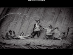 IMG035 (1) (1) (1) (1) (1) (1) (1) (1) (1) (1) (1) (1) (1) (1) (1) (1) (1) (1) (1) (1) (1) (1) (1) (1) (1) (1) (1) (1)