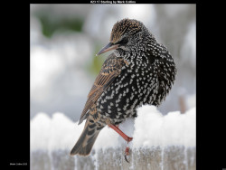 IMG035 (1) (1) (1) (1) (1) (1) (1) (1) (1) (1) (1) (1) (1) (1) (1) (1) (1) (1) (1) (1) (1) (1) (1) (1) (1) (1) (1) (1) (1)