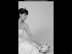 IMG036 (1) (1) (1) (1) (1)