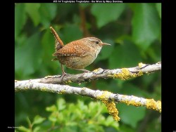 IMG036 (1) (1) (1) (1) (1) (1) (1) (1) (1) (1)