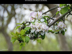 IMG036 (1) (1) (1) (1) (1) (1) (1) (1) (1) (1) (1) (1) (1) (1) (1) (1) (1) (1) (1) (1)