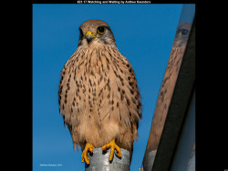 IMG036 (1) (1) (1) (1) (1) (1) (1) (1) (1) (1) (1) (1) (1) (1) (1) (1) (1) (1) (1) (1) (1) (1) (1) (1) (1) (1)