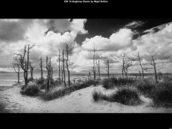 IMG036 (1) (1) (1) (1) (1) (1) (1) (1) (1) (1) (1) (1) (1) (1) (1) (1) (1) (1) (1) (1) (1) (1) (1) (1) (1) (1) (1) (1) (1) (1)