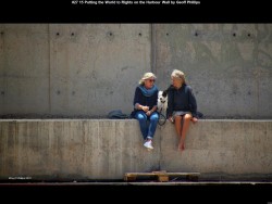 IMG037 (1) (1) (1) (1) (1)