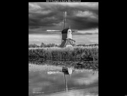 IMG037 (1) (1) (1) (1) (1) (1) (1) (1)