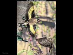 IMG037 (1) (1) (1) (1) (1) (1) (1) (1) (1) (1)