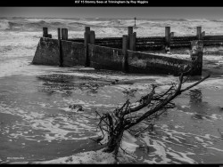 IMG037 (1) (1) (1) (1) (1) (1) (1) (1) (1) (1) (1)