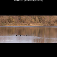 IMG037 (1) (1) (1) (1) (1) (1) (1) (1) (1) (1) (1) (1) (1) (1)