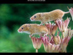 IMG037 (1) (1) (1) (1) (1) (1) (1) (1) (1) (1) (1) (1) (1) (1) (1) (1) (1)