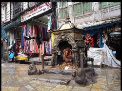 IMG037 (1) (1) (1) (1) (1) (1) (1) (1) (1) (1) (1) (1) (1) (1) (1) (1) (1) (1) (1) (1) (1)