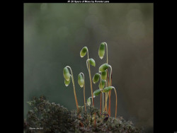 IMG037 (1) (1) (1) (1) (1) (1) (1) (1) (1) (1) (1) (1) (1) (1) (1) (1) (1) (1) (1) (1) (1) (1)