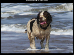 IMG037 (1) (1) (1) (1) (1) (1) (1) (1) (1) (1) (1) (1) (1) (1) (1) (1) (1) (1) (1) (1) (1) (1) (1) (1) (1) (1) (1) (1)