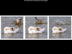 IMG037 (1) (1) (1) (1) (1) (1) (1) (1) (1) (1) (1) (1) (1) (1) (1) (1) (1) (1) (1) (1) (1) (1) (1) (1) (1) (1) (1) (1) (1) (1) (1) (1) (1) (1) (1)