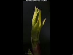 IMG038 (1) (1) (1) (1) (1) (1)