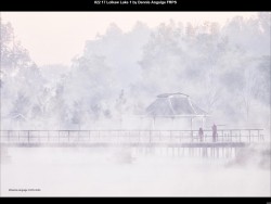 IMG038 (1) (1) (1) (1) (1) (1) (1) (1)