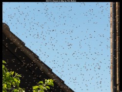 IMG038 (1) (1) (1) (1) (1) (1) (1) (1) (1) (1)