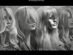 IMG038 (1) (1) (1) (1) (1) (1) (1) (1) (1) (1) (1)