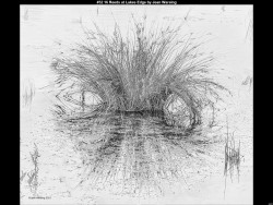 IMG038 (1) (1) (1) (1) (1) (1) (1) (1) (1) (1) (1) (1) (1) (1) (1) (1)