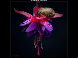 IMG038 (1) (1) (1) (1) (1) (1) (1) (1) (1) (1) (1) (1) (1) (1) (1) (1) (1) (1)