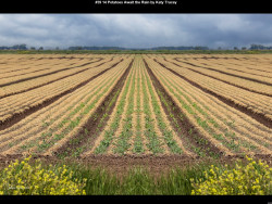 IMG038 (1) (1) (1) (1) (1) (1) (1) (1) (1) (1) (1) (1) (1) (1) (1) (1) (1) (1) (1) (1) (1) (1) (1)