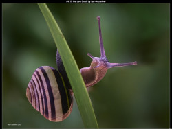 IMG039 (1) (1) (1) (1) (1) (1) (1) (1) (1) (1) (1) (1) (1) (1) (1) (1) (1) (1)