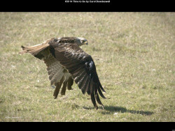 IMG039 (1) (1) (1) (1) (1) (1) (1) (1) (1) (1) (1) (1) (1) (1) (1) (1) (1) (1) (1)