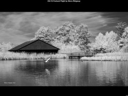 IMG039 (1) (1) (1) (1) (1) (1) (1) (1) (1) (1) (1) (1) (1) (1) (1) (1) (1) (1) (1) (1)