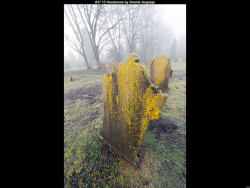 IMG039 (1) (1) (1) (1) (1) (1) (1) (1) (1) (1) (1) (1) (1) (1) (1) (1) (1) (1) (1) (1) (1) (1) (1) (1)