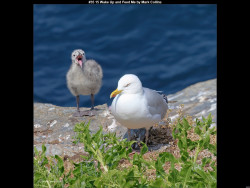 IMG039 (1) (1) (1) (1) (1) (1) (1) (1) (1) (1) (1) (1) (1) (1) (1) (1) (1) (1) (1) (1) (1) (1) (1) (1) (1) (1) (1) (1) (1)