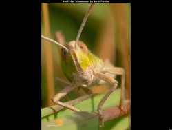 IMG040 (1) (1) (1) (1) (1) (1) (1)